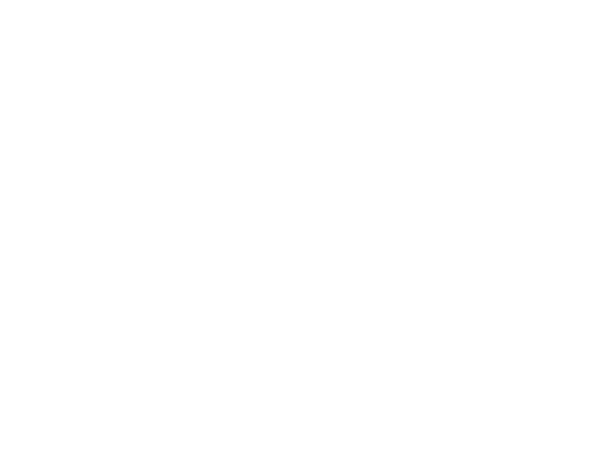 TNT logo, integrated parcel carrier services